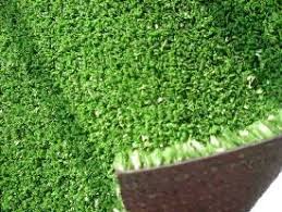 Thảm cỏ nhân tạo sân vườn tại bình dương, cho thuê thảm cỏ nhựa