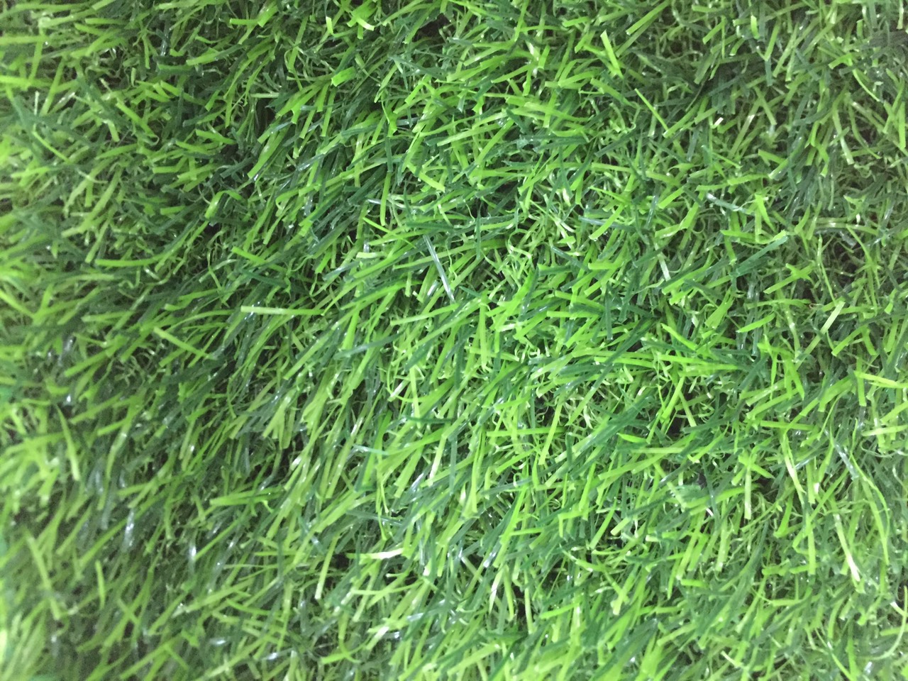 thảm cỏ nhân tạo tại long thành - đồng nai